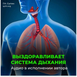 Дыхательные пути