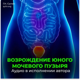 Мочевой пузырь (для мужчин)