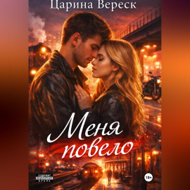 Меня повело