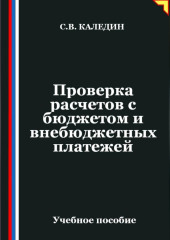 Проверка расчетов с бюджетом и внебюджетных платежей