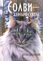 Солви - серебро Севера