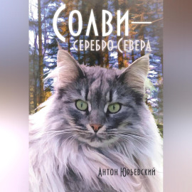 Солви - серебро Севера