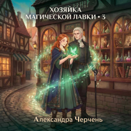 Хозяйка магической лавки – 3
