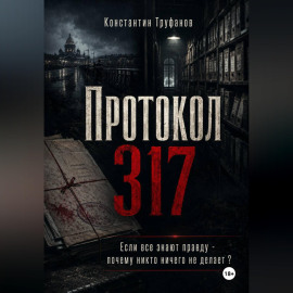 Протокол 317