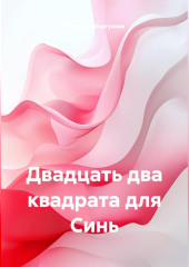 Двадцать два квадрата для Синь