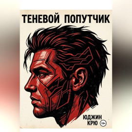 Теневой попутчик