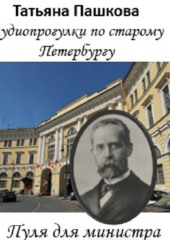 Пуля для министра: история одного покушения