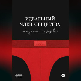 Идеальный член общества, или Записки с передовой