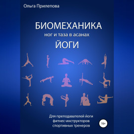 Биомеханика ног и таза в асанах йоги