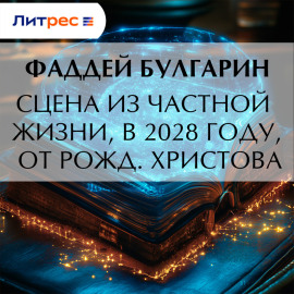 Сцена из частной жизни, в 2028 году, от Рожд. Христова