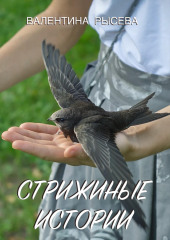 Стрижиные истории