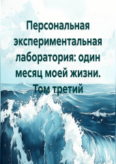Персональная экспериментальная лаборатория: один месяц моей жизни. Том третий