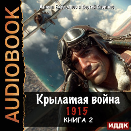 Крылатая война. 1915. Книга 2