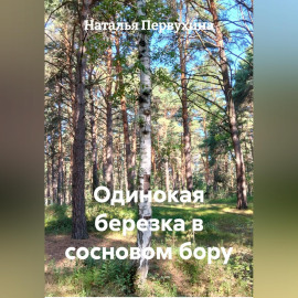 Одинокая березка в сосновом бору