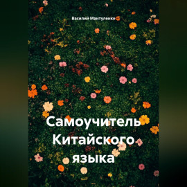 Самоучитель Китайского языка