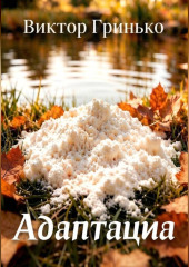 Адаптация