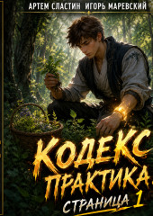 Кодекс Практика. Страница 1