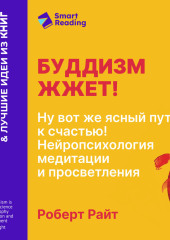 Буддизм жжет! Ну вот же ясный путь к счастью! Нейропсихология медитации и просветления. Роберт Райт. Саммари