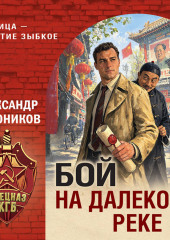 Бой на далекой реке