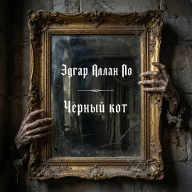Черный кот