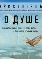 О душе