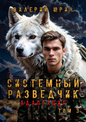 Системный разведчик. Адаптация. Том 3