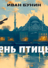 Тень птицы