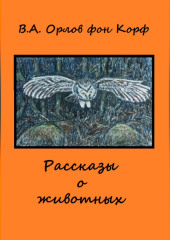 Рассказы о животных