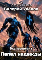 Эксперимент. Книга 4. Пепел надежды