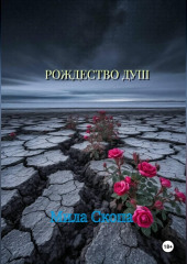 Рождество душ