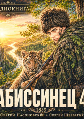 Абиссинец 1889. Том 4
