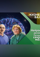 Как мозг человека обучается, адаптируется и восстанавливается