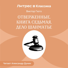 Отверженные. Книга седьмая. ДЕЛО ШАНМАТЬЕ