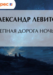 Степная дорога ночью