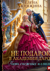 Не подарок в Академии даров. Пять снежных иллюзий