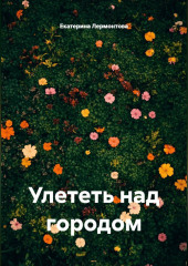 Улететь над городом