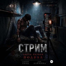 Стрим. Часть первая. Подвал