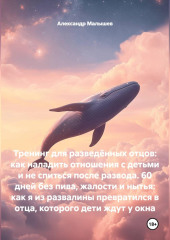 Тренинг для разведённых отцов: как наладить отношения с детьми и не спиться после развода. 60 дней без пива, жалости и нытья: как я из развалины превратился в отца, которого дети ждут у окна