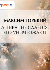 Если враг не сдаётся, – его уничтожают