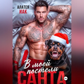 Санта в моей постели