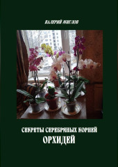 Секреты серебряных корней орхидей