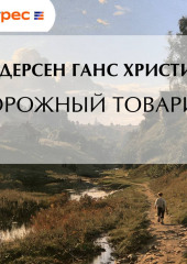 Дорожный товарищ