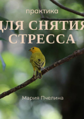 Практика для снятия стресса