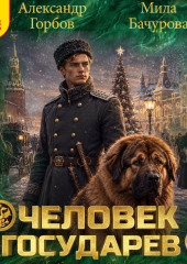 Человек государев. Книга 4