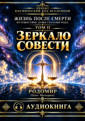 Жизнь после смерти. Путешествие души глазами рода. Том 2. Зеркало совести