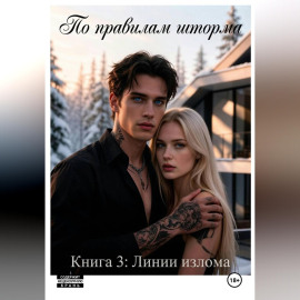 По правилам шторма. Книга 3. Линии излома