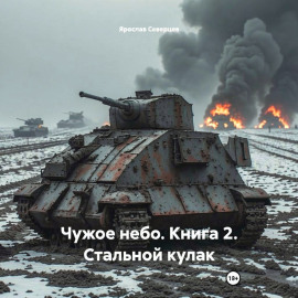 Чужое небо. Книга 2. Стальной кулак