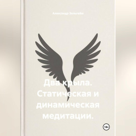 Два крыла. Статическая и динамическая медитации