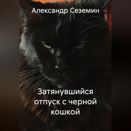Затянувшийся отпуск с черной кошкой