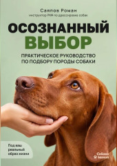 Осознанный выбор: Практическое руководство по подбору породы собаки под ваш реальный образ жизни
